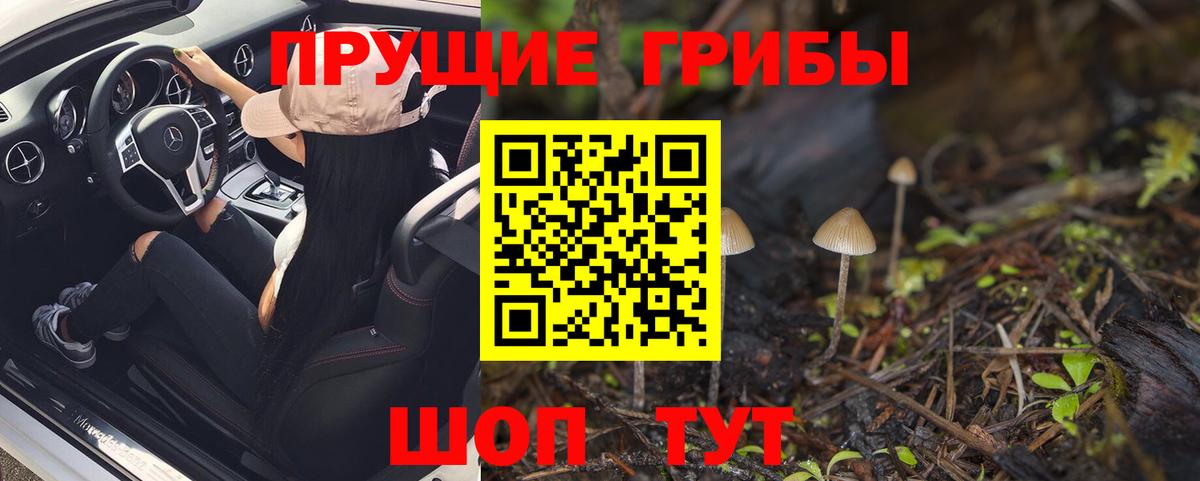 Галлюциногенные грибы прущие грибы  Галлюциногенные грибы мухоморы  Вход с VPN  Обь 